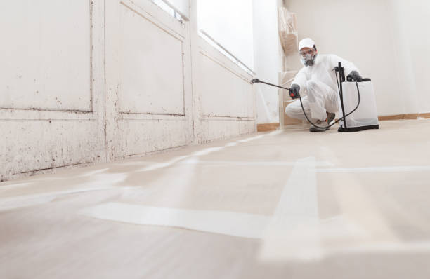 24/7 Emergency Commercial Mold Remediation experts in West Point, VA