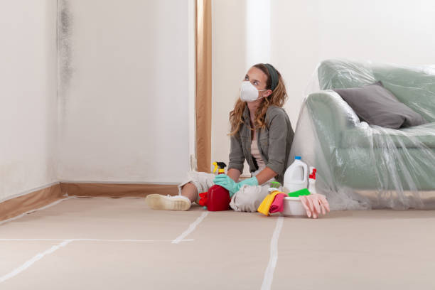 Reliable Commercial Mold Remediation contractor in West Point, VA by WQB Mold Removal