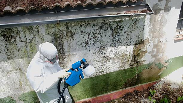 Top rated local Commercial Mold Remediation specialists in West Point, VA